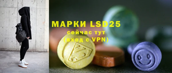 ГАЛЛЮЦИНОГЕННЫЕ ГРИБЫ Балабаново