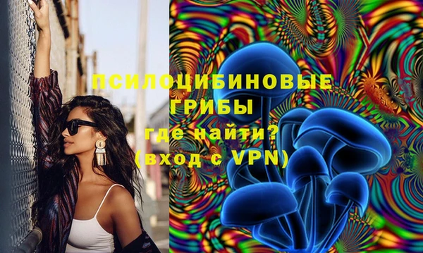 первитин Балахна