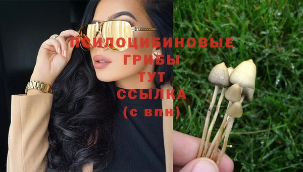 ГАЛЛЮЦИНОГЕННЫЕ ГРИБЫ Балабаново
