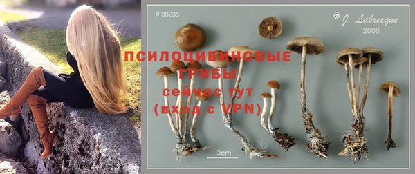первитин Балахна